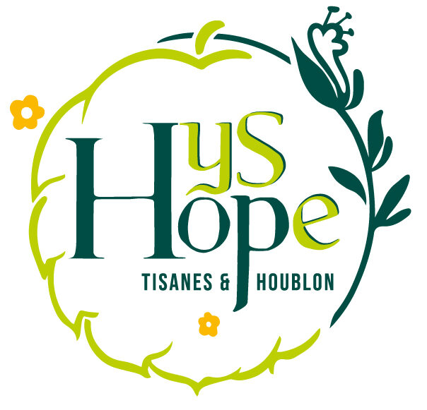 cropped hysope logo2022 couleurs avecombrage